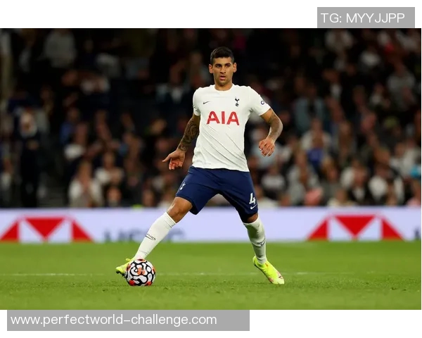 欧冠经典对决拜仁逆转热刺战术解析与精彩瞬间回顾