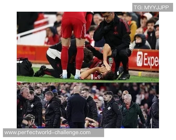 世界杯激战尤文图斯与热刺平局十大精彩进球回顾引发全场热议